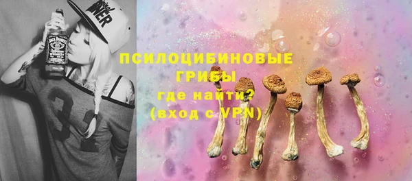 бошки Окуловка